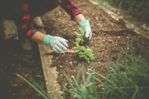 Ideias de Jardinagem Simples e Acessível para Crianças Pequenas de 1 a 3 Anos em Varandas