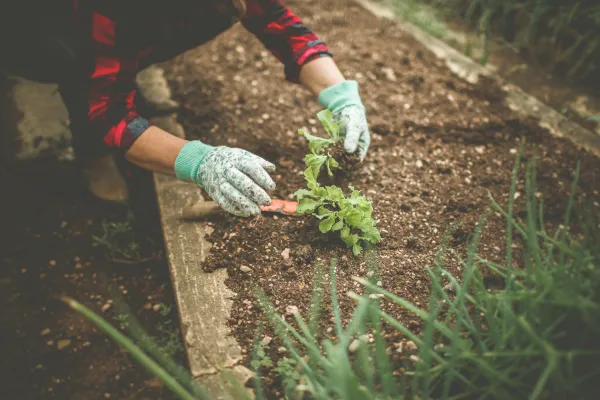 Ideias de Jardinagem Simples e Acessível para Crianças Pequenas de 1 a 3 Anos em Varandas